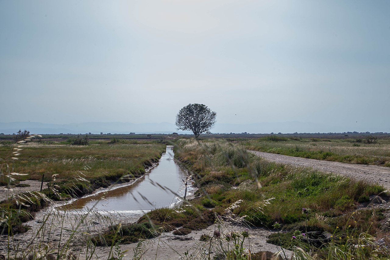 Axios Delta National Park &mdash; Ramsar Wetland and Natura 2000 site at the head of the Thermaikos Gulf, Greece