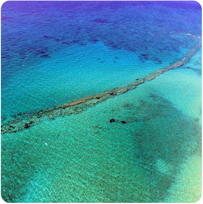 Nature-Based Solutions for coastal resilience — Nature4Nature platform