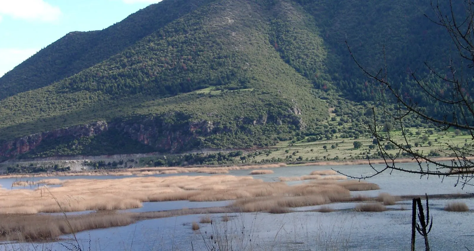 Reed beds and open water at Lake Stymfalia, a mountain wetland in Corinthia, Greece